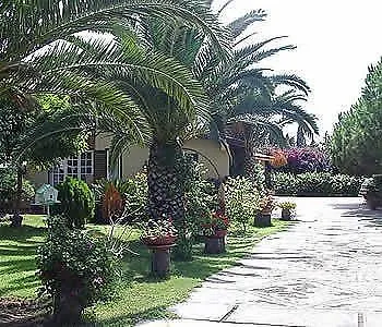 Dolce Casa Bed & Breakfast